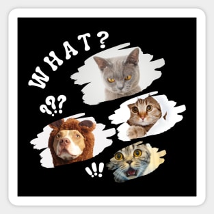 Funny cats and dog Sticker